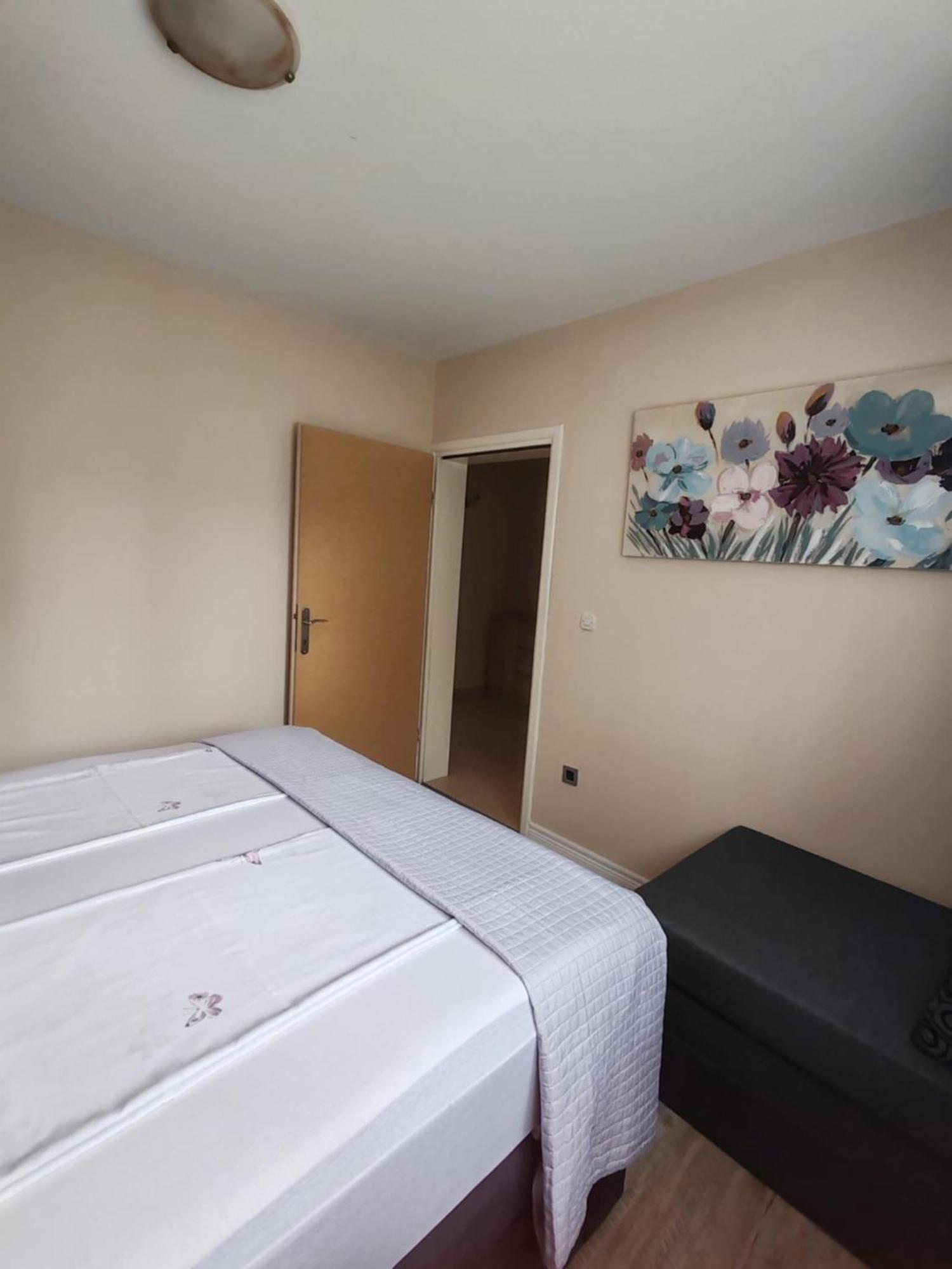 Apartments Bosana XIV ビオグラード・ナ・モル エクステリア 写真